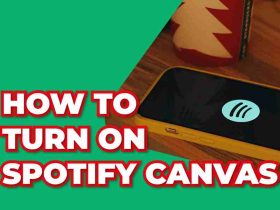 How To Turn On Spotify Canvas